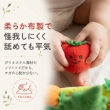 ミニファームシリーズ もぎもぎトマト畑 | BACKYARD FAMILY | 詳細画像6