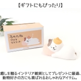 ゆるり日和 アロママスコット | BACKYARD FAMILY | 詳細画像6