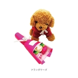 トイプードル&ブーケ 窓付BOX入り | BACKYARD FAMILY | 詳細画像15 
