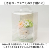 ふわふわポットソープフラワー L | BACKYARD FAMILY | 詳細画像6