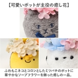 ふわふわポットソープフラワーM | BACKYARD FAMILY | 詳細画像3