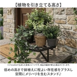 プランツスタンド オクト | BACKYARD FAMILY | 詳細画像3