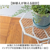 プランツスタンド オクト | BACKYARD FAMILY | 詳細画像6