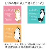ホットアイマスク ギフト 9枚 | BACKYARD FAMILY | 詳細画像6