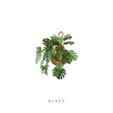 光触媒 ドロップバスケット | BACKYARD FAMILY | 詳細画像12