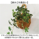 光触媒 ドロップバスケット | BACKYARD FAMILY | 詳細画像6