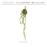 光触媒 ドロップバスケット | BACKYARD FAMILY | 詳細画像9