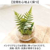 Eclia エクリア 消臭アーティフィシャルグリーン Lサイズ | BACKYARD FAMILY | 詳細画像4