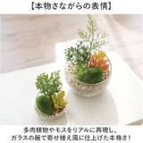 Eclia エクリア 消臭アーティフィシャルグリーン Lサイズ | BACKYARD FAMILY | 詳細画像6