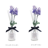 ボタニカルディフューザー | BACKYARD FAMILY | 詳細画像15 