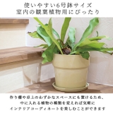 アーバンプランツポット マーブル ソリッド 6号サイズ | BACKYARD FAMILY | 詳細画像9