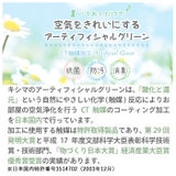 エクリア 消臭アーティフィシャルグリーン ポットSサイズ | BACKYARD FAMILY | 詳細画像6