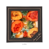 シャン・ド・フルール ボックスバスペタル | BACKYARD FAMILY | 詳細画像14 