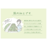 サキュレントリフレリウム 消臭アーティフィシャルグリーン | BACKYARD FAMILY | 詳細画像8 