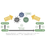 エクリア 消臭アーティフィシャルグリーン S | BACKYARD FAMILY | 詳細画像10 