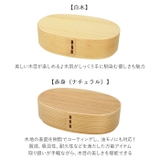 わっぱ弁当 かぶせ型 500ml GT-002 | BACKYARD FAMILY | 詳細画像16