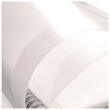 楽譜ファイル pmy0506 | BACKYARD FAMILY | 詳細画像7 