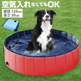 折り畳み ペットプール 120 petpool02 | BACKYARD FAMILY | 詳細画像1 