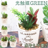 光触媒 バケツ | BACKYARD FAMILY | 詳細画像1
