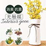 光触媒 インテリアグリーン ロングポット | BACKYARD FAMILY | 詳細画像1 