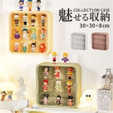 コレクションケース 壁掛け 3段 ysg5366 | BACKYARD FAMILY | 詳細画像1 