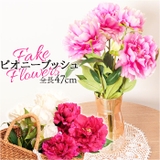 ピオニーブッシュ | BACKYARD FAMILY | 詳細画像1 