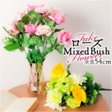 ロングローズミックスブッシュ | BACKYARD FAMILY | 詳細画像1