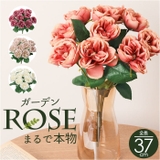 ガーデンローズブッシュ | BACKYARD FAMILY | 詳細画像1