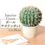 ボールサボテンポット | BACKYARD FAMILY | 詳細画像1 