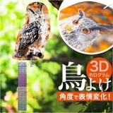 鳥よけ ガラス対策 防鳥 | BACKYARD FAMILY | 詳細画像1 