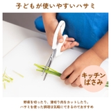 サンクラフト 台所育児 スターターセット３点 右利き用 左利き用 | BACKYARD FAMILY | 詳細画像9 