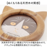 Cat frame S | BACKYARD FAMILY | 詳細画像5 