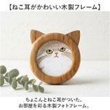 Cat frame M | BACKYARD FAMILY | 詳細画像2 