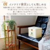 メディコ ファーストエイドボックスM | BACKYARD FAMILY | 詳細画像3 