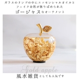 ゴールドアップル 金の林檎 | BACKYARD FAMILY | 詳細画像2