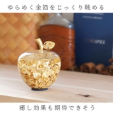 ゴールドアップル 金の林檎 | BACKYARD FAMILY | 詳細画像4