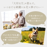 お供え ガラスドーム 四季と暦 | BACKYARD FAMILY | 詳細画像2