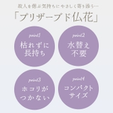 お供え ガラスドーム 四季と暦 | BACKYARD FAMILY | 詳細画像3