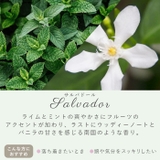 grancense グランセンス リードディフューザー | BACKYARD FAMILY | 詳細画像12