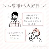 キャラクターマグネットカーサイン 2個セット | BACKYARD FAMILY | 詳細画像3 