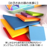 パズル 知育玩具 知育パズル | BACKYARD FAMILY | 詳細画像2