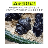 鉄分補給 南部鉄偶 土偶 | BACKYARD FAMILY | 詳細画像4 