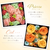 シャン・ド・フルール ボックスバスペタル | BACKYARD FAMILY | 詳細画像10 