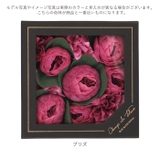 シャン・ド・フルール ボックスバスペタル | BACKYARD FAMILY | 詳細画像11 