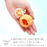 シャン・ド・フルール ボックスバスペタル | BACKYARD FAMILY | 詳細画像5 