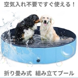 折り畳み ペットプール 160 petpool01 | BACKYARD FAMILY | 詳細画像2