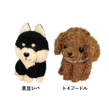 まねまね録音シリーズ | BACKYARD FAMILY | 詳細画像14