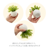 光触媒 インテリアグリーン ラウンドポット キューブポット | BACKYARD FAMILY | 詳細画像7 