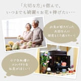 プリザーブド仏花 四季と暦 | BACKYARD FAMILY | 詳細画像2