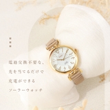 Plaisir プレジールソーラーウォッチ | BACKYARD FAMILY | 詳細画像3 